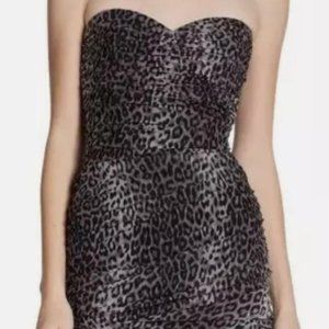 BCBG Winnie Dress in Leopard Print!
